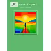 Постер книги Пограничный переход