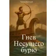 Постер книги Гнев Несущего бурю