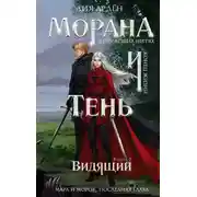 Постер книги Видящий