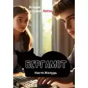 Постер книги Бергамот