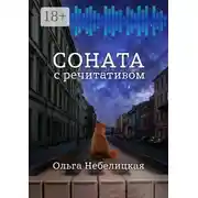 Постер книги Соната с речитативом