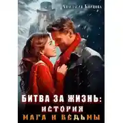 Постер книги Битва за жизнь: история Мага и Ведьмы