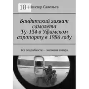 Постер книги Бандитский захват самолета Ту-134 в Уфимском аэропорту в 1986 году. Все подробности – экслюзив автора