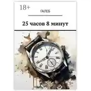 Постер книги 25 часов 8 минут