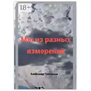 Постер книги Мы из разных измерений
