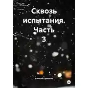 Постер книги Сквозь испытания. Часть 3