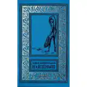 Постер книги Найдёныш