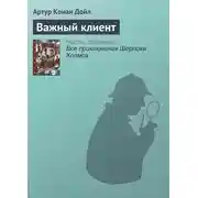 Постер книги Важный клиент