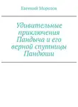 Евгений Морозов - Удивительные приключения Пандыча и его верной спутницы Пандюши