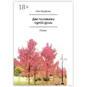 Постер книги Две половинки одной души