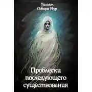 Постер книги Проблески последующего существования
