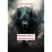 Постер книги Пленный лекарь