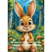 Постер книги Сказки из Сказочного леса. Тимка и его приключения