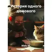 Постер книги История одного домового