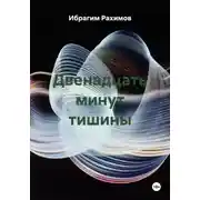 Постер книги Двенадцать минут тишины