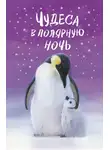 Холли Вебб - Чудеса в полярную ночь