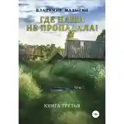 Постер книги Где наша не пропадала 3