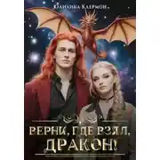 Постер книги Верни, где взял, дракон!
