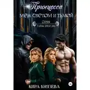 Постер книги Принцесса меж светом и тьмой