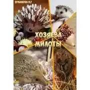 Постер книги Хозяева Милоты
