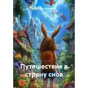 Постер книги Путешествие в страну снов