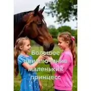 Постер книги Большое приключение маленьких принцесс
