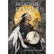 Постер книги Запасные крылья