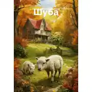 Постер книги Шуба