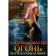 Постер книги Частицы магии. Огонь. Маги в нашем мире