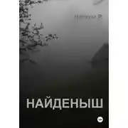 Постер книги Найденыш