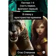 Постер книги пантера: 1-6 (часть первая, фрагмент первый) В плену у пространства-времени