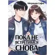 Постер книги Пока не встретимся снова