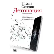 Постер книги Детонация