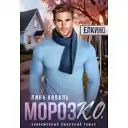 Постер книги Мороз.К.О. - мэр Елкино