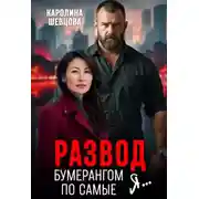 Постер книги Развод. Бумерангом по самые я...