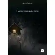 Постер книги Новогодний роман