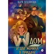 Постер книги Дом и два жениха в придачу
