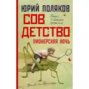 Постер книги Совдетство. Пионерская ночь