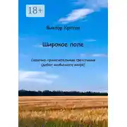 Постер книги Широкое поле. Сказочно-примечательные трёхстишия (дебют необычного жанра)