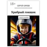 Постер книги Храбрый гонщик. Киносценарий