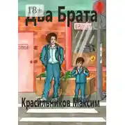 Постер книги Два брата