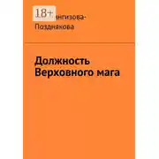 Постер книги Должность Верховного мага