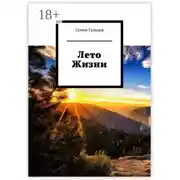 Постер книги Лето Жизни