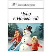 Постер книги Чудо в Новый год