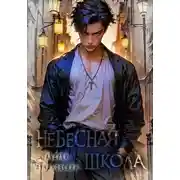 Постер книги Небесная школа