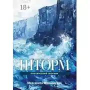 Постер книги Шторм