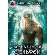 Постер книги Водные горки с эльфом