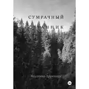 Постер книги Сумрачный странник