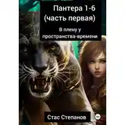 Постер книги Пантера 1-6. Часть первая. В плену у пространства-времени