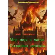 Постер книги Мир меча и магии: Пылающая цитадель